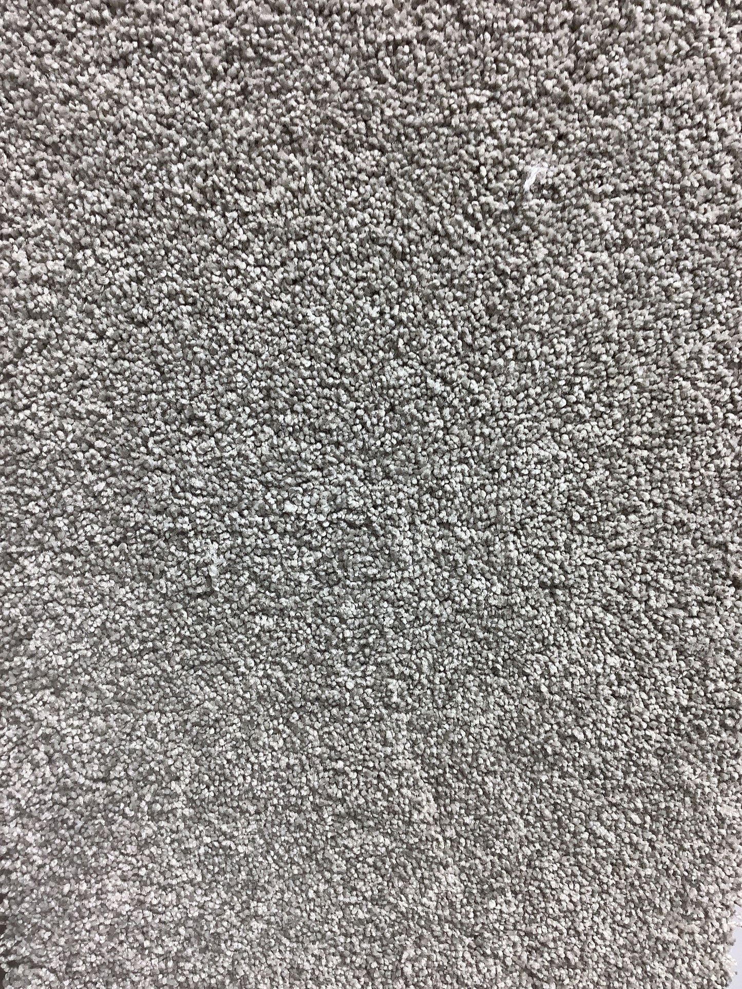 Shaw. Tonal Comfort 2. Color: Back Patio. Carpet