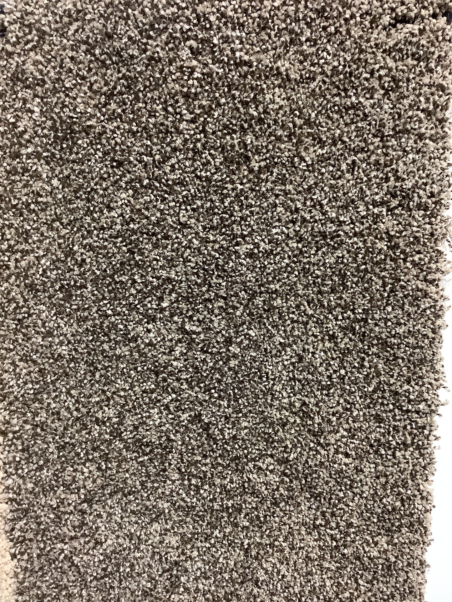 Karastan Upscale Living. Color: Pinecone. Carpet