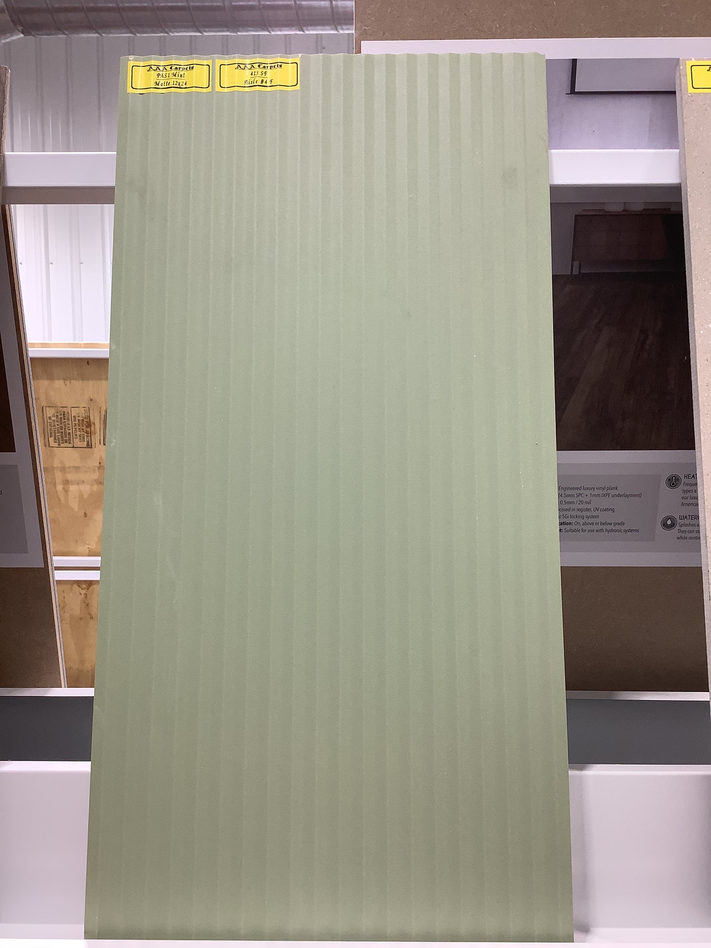 PAS 1 Mint Matte 12x24
