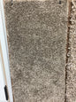 Shaw: Attainable. Fox Hollow. Carpet