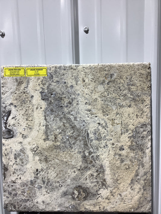 Gray Quartzite Polished 16x16