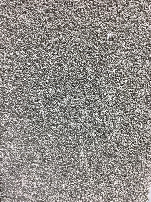 Shaw. Tonal Comfort 2. Color: Back Patio. Carpet