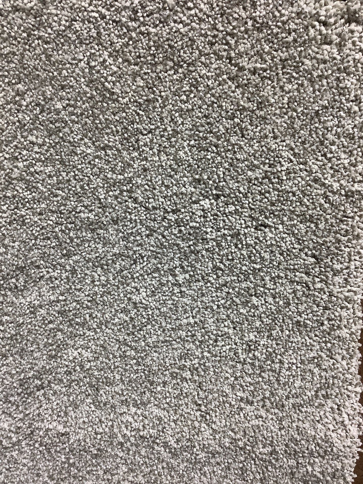 Tuftex SomerSet.  Color: Moth Gray. Carpet