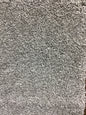 Tuftex SomerSet.  Color: Moth Gray. Carpet