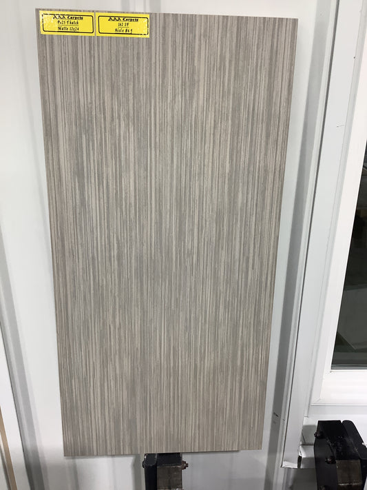 P625 Thatch Matte 12x24