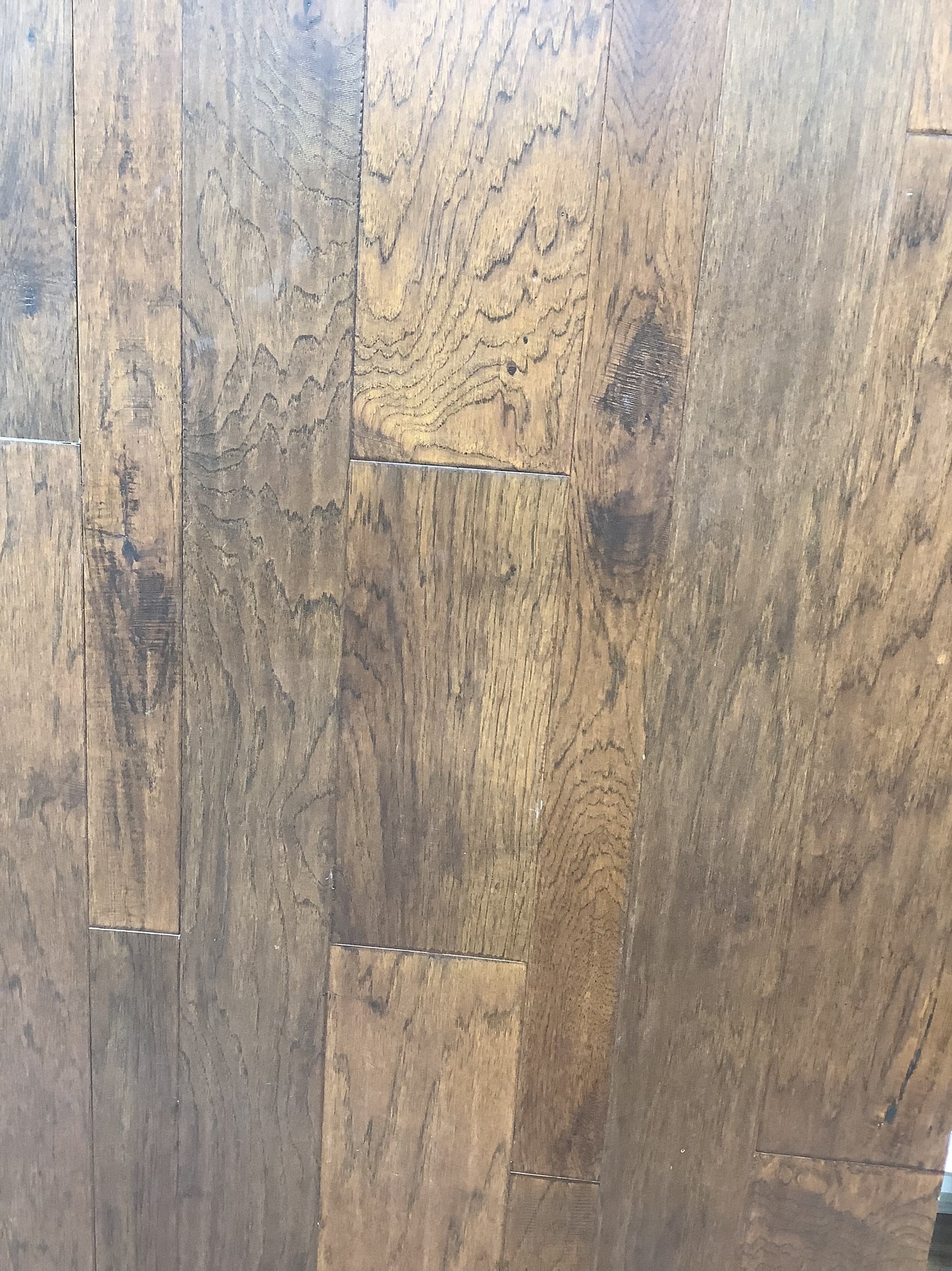 CHCICER 356 Hickory Erato