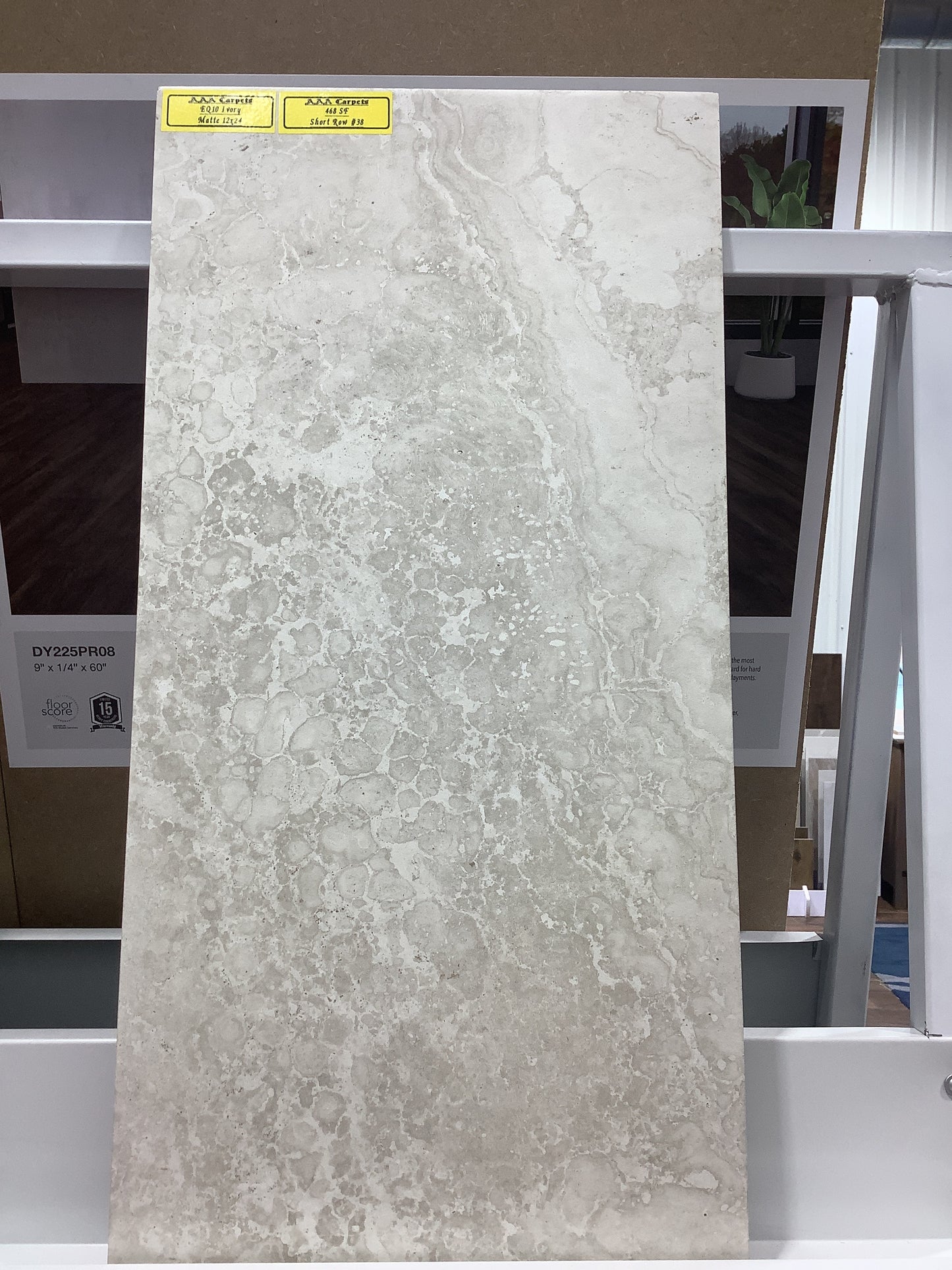 EQ10 Ivory Matte 12x24
