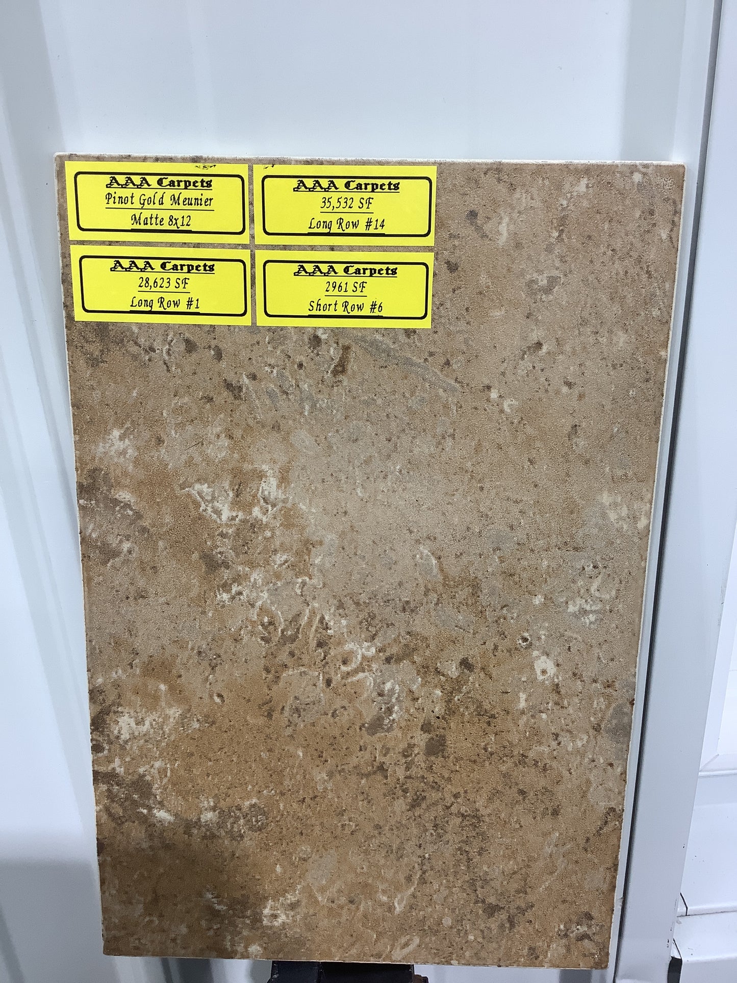 Pinot Gold Meunier Matte 8x12 tile