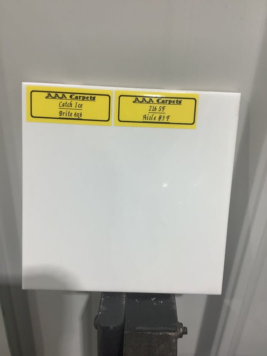 Catch Ice Brite 6x6 Tile