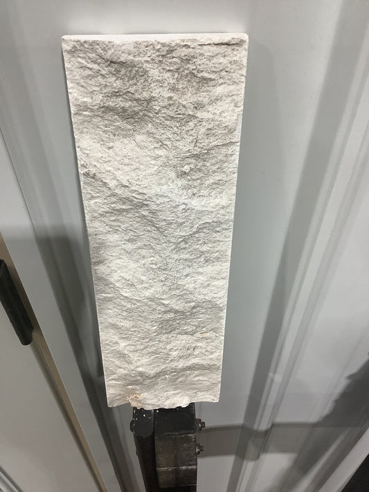 Fossil Stone 4x12 Brick