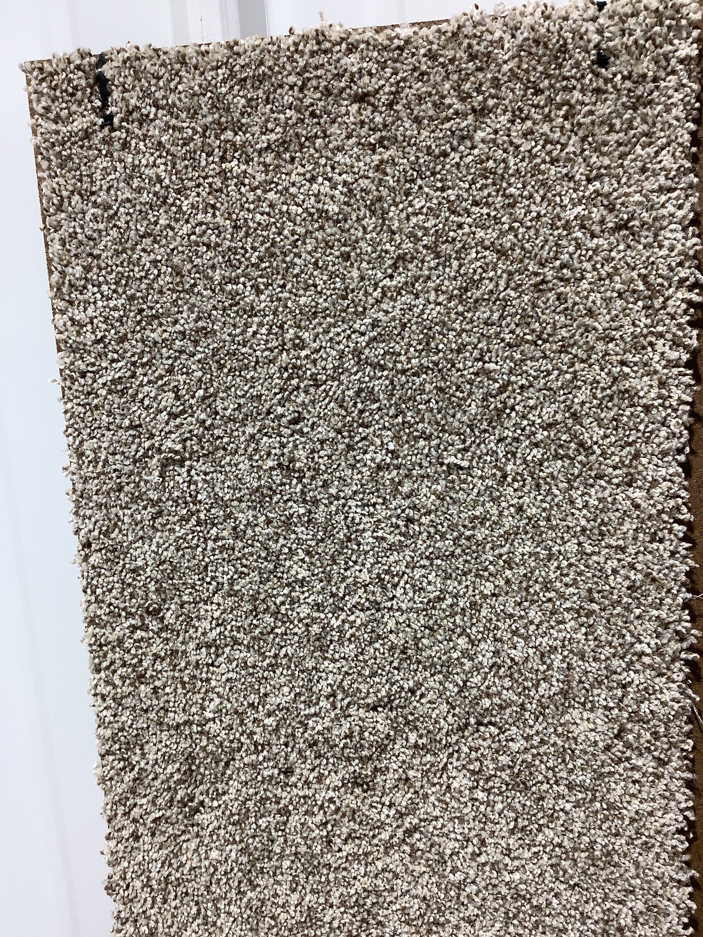 Shaw Tuftex Chewbarka 2. Color: Sandstone Carpet