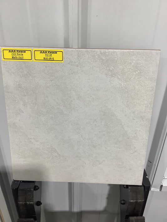 CS22 Ferria Matte 12x12 Tile