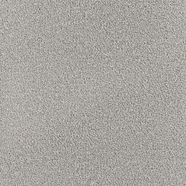 DreamWeaver Montauk. Color: Chrome. Carpet