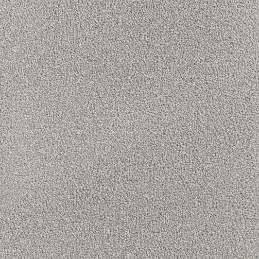 DreamWeaver Montauk. Color: Chrome. Carpet