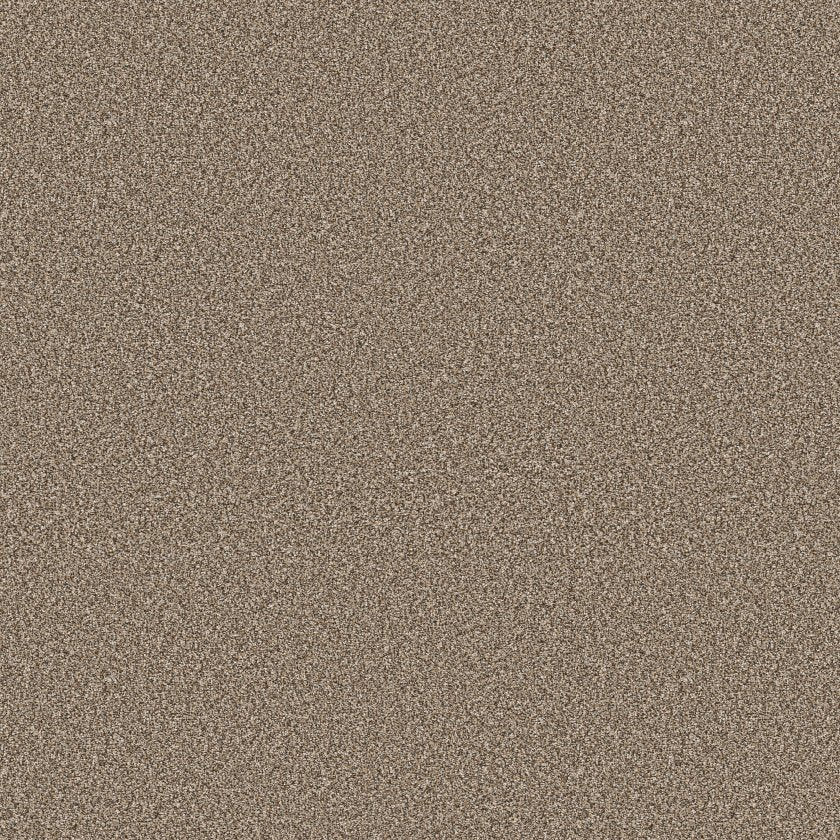 Shaw Tuftex Chewbarka 2. Color: Rodeo. Carpet