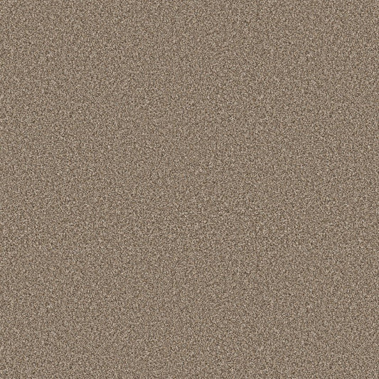 Shaw Tuftex Chewbarka 2. Color: Rodeo. Carpet
